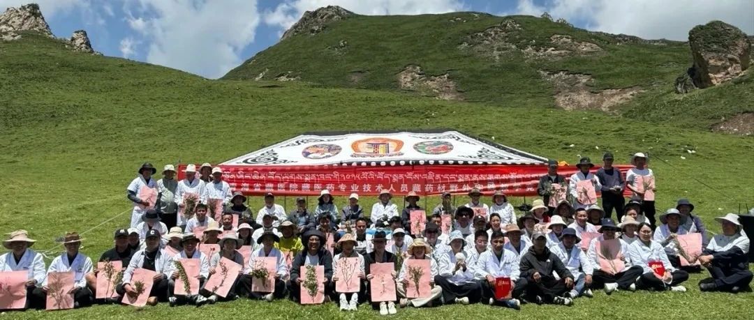 【聚焦】青海省藏医院开展第42期藏医药专业技术人员藏药材野外实践教学活动 【聚焦】青海省藏医院开展第42期藏医药专业技术人员藏药材野外实践教学活动